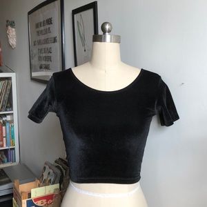 American Apparel cropped velvet tee